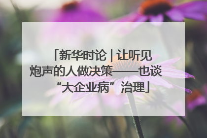新华时论 | 让听见炮声的人做决策——也谈“大企业病”治理