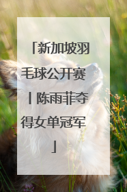 新加坡羽毛球公开赛丨陈雨菲夺得女单冠军