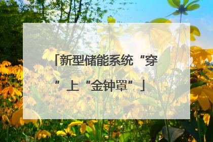 新型储能系统“穿”上“金钟罩”