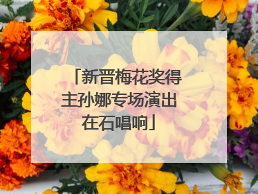 新晋梅花奖得主孙娜专场演出在石唱响