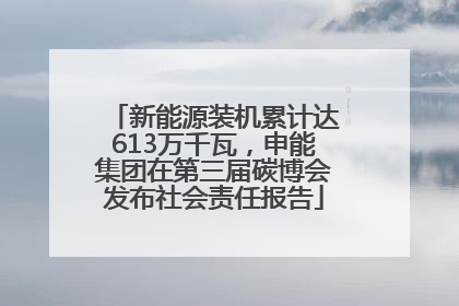 新能源装机累计达613万千瓦，申能集团在第三届碳博会发布社会责任报告