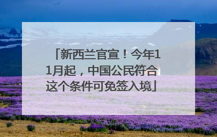 新西兰官宣！今年11月起，中国公民符合这个条件可免签入境