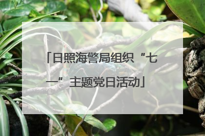 日照海警局组织“七一”主题党日活动