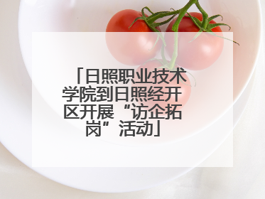 日照职业技术学院到日照经开区开展“访企拓岗”活动