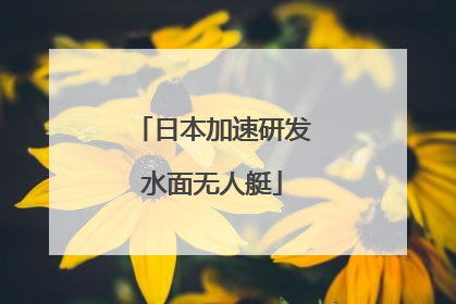 日本加速研发水面无人艇