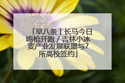 早八条丨长马今日鸣枪开跑／吉林小冰麦产业发展联盟与7所高校签约