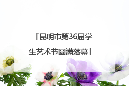 昆明市第36届学生艺术节圆满落幕