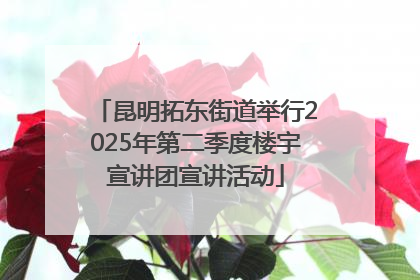 昆明拓东街道举行2025年第二季度楼宇宣讲团宣讲活动