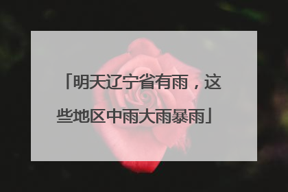 明天辽宁省有雨，这些地区中雨大雨暴雨