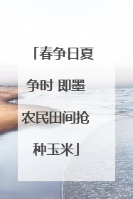 春争日夏争时 即墨农民田间抢种玉米