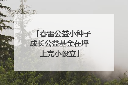 春雷公益小种子成长公益基金在坪上完小设立