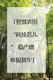 智慧农田“科技范儿” 稳产增收根基牢