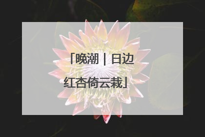 晚潮｜日边红杏倚云栽