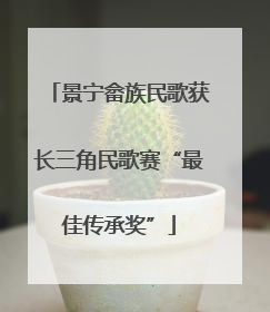 景宁畲族民歌获长三角民歌赛“最佳传承奖”