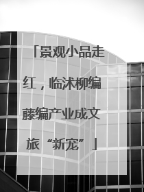 景观小品走红，临沭柳编藤编产业成文旅“新宠”