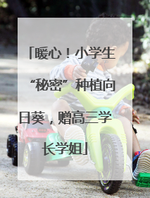 暖心！小学生“秘密”种植向日葵，赠高三学长学姐
