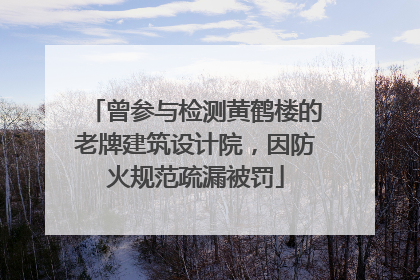 曾参与检测黄鹤楼的老牌建筑设计院，因防火规范疏漏被罚