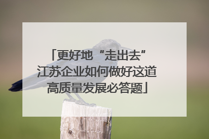 更好地“走出去” 江苏企业如何做好这道高质量发展必答题