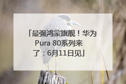 最强鸿蒙旗舰！华为Pura 80系列来了：6月11日见