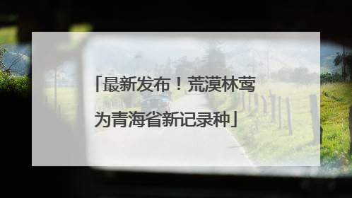 最新发布！荒漠林莺为青海省新记录种