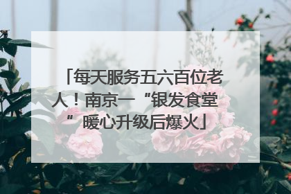 每天服务五六百位老人！南京一“银发食堂”暖心升级后爆火
