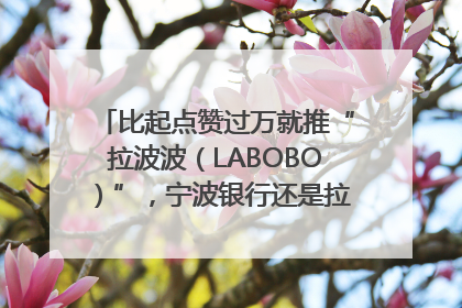 比起点赞过万就推“拉波波（LABOBO）”，宁波银行还是拉业绩吧｜财经辣评