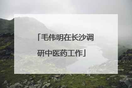 毛伟明在长沙调研中医药工作