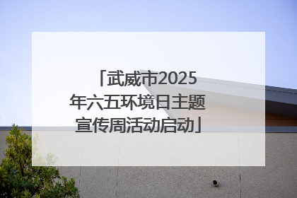 武威市2025年六五环境日主题宣传周活动启动