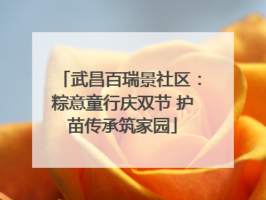 武昌百瑞景社区：粽意童行庆双节 护苗传承筑家园