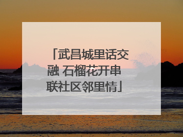 武昌城里话交融 石榴花开串联社区邻里情
