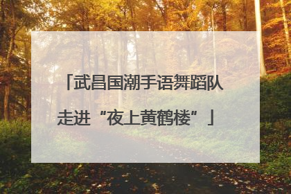 武昌国潮手语舞蹈队走进“夜上黄鹤楼”