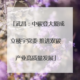 武昌：中碳登大厦成立楼宇党委 推进双碳产业高质量发展