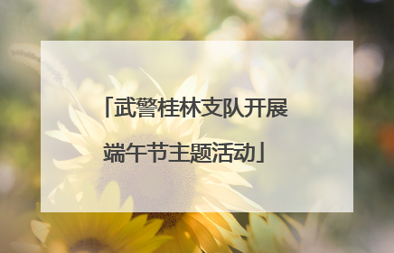 武警桂林支队开展端午节主题活动
