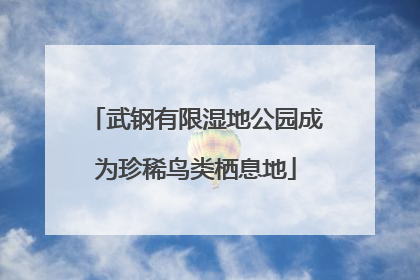 武钢有限湿地公园成为珍稀鸟类栖息地
