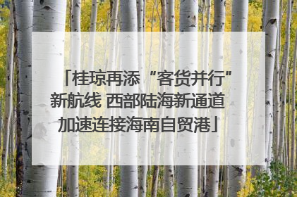 桂琼再添“客货并行”新航线 西部陆海新通道加速连接海南自贸港