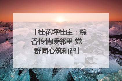 桂花坪桂庄：粽香传情暖邻里 党群同心筑和谐