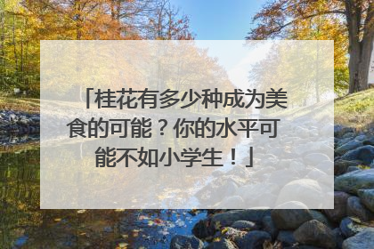 桂花有多少种成为美食的可能？你的水平可能不如小学生！