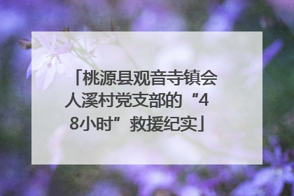 桃源县观音寺镇会人溪村党支部的“48小时”救援纪实