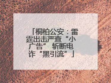 桐柏公安：雷霆出击严查“小广告” 斩断电诈“黑引流”