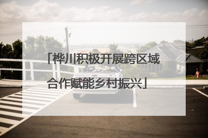桦川积极开展跨区域合作赋能乡村振兴