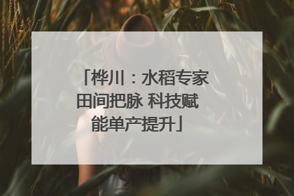 桦川：水稻专家田间把脉 科技赋能单产提升