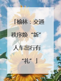 榆林：交通秩序焕“新” 人车出行有“礼”