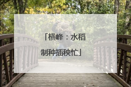 横峰：水稻制种插秧忙
