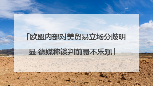欧盟内部对美贸易立场分歧明显 德媒称谈判前景不乐观