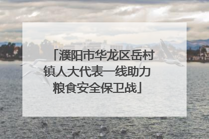 濮阳市华龙区岳村镇人大代表一线助力粮食安全保卫战