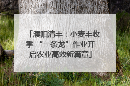 濮阳清丰：小麦丰收季 “一条龙”作业开启农业高效新篇章