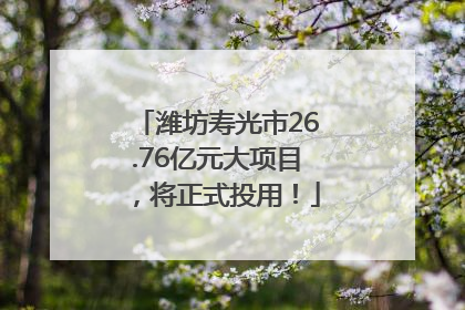 潍坊寿光市26.76亿元大项目，将正式投用！
