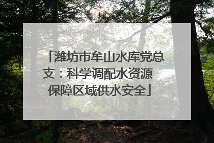 潍坊市牟山水库党总支：科学调配水资源 保障区域供水安全