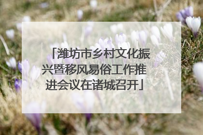 潍坊市乡村文化振兴暨移风易俗工作推进会议在诸城召开