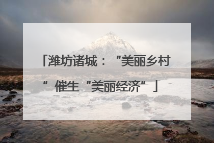 潍坊诸城：“美丽乡村”催生“美丽经济”